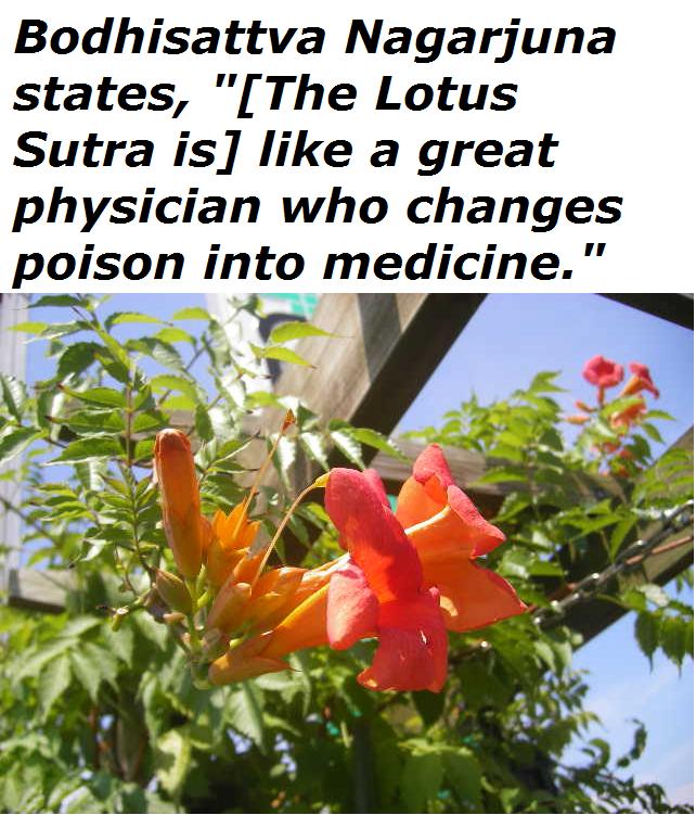 the-lotus-sutra.jpg